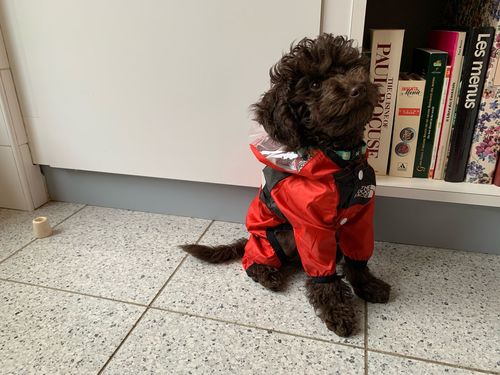Customer photo review of Rain The Dog Face Jackets
