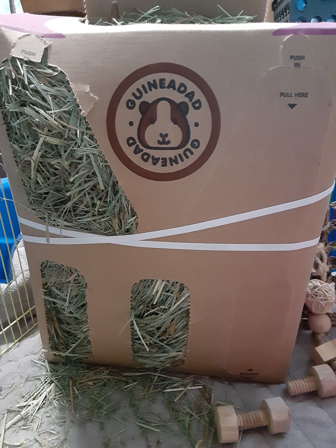 Customer photo review of GuineaDad Nourish Series - Orchard Hay for Guinea Pigs (3 Pack)