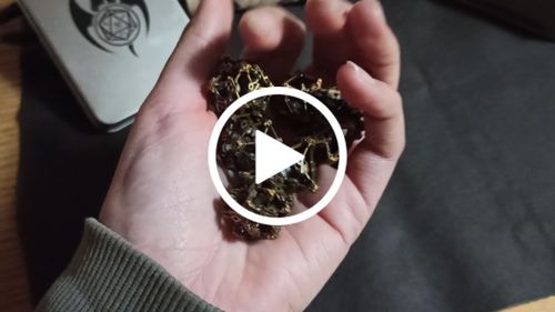 Customer video review of Gaveyard Serie