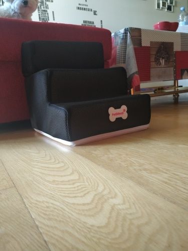 Customer photo review of Dog Steps
