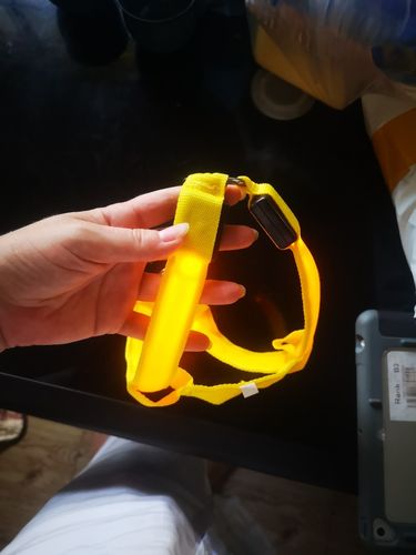 Customer photo review of LED Glow Collar / Harness