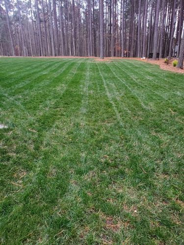 Customer photo review of Protene Performance Winter Fertilizer