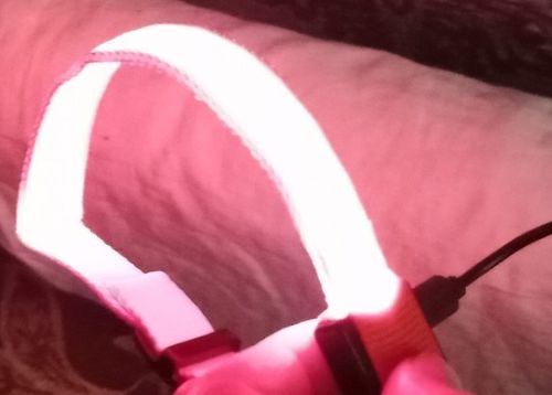 Customer photo review of LED Glow Collar / Harness