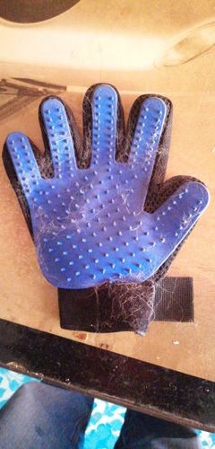 Customer photo review of De-Shedding Gloves