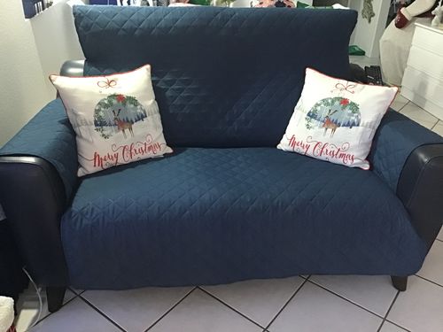 Customer photo review of Pets Waterproof Sofa Cover - 50% Off Today Only