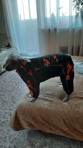 Customer photo review of Snow/Rain Dog Suit (Reflective)