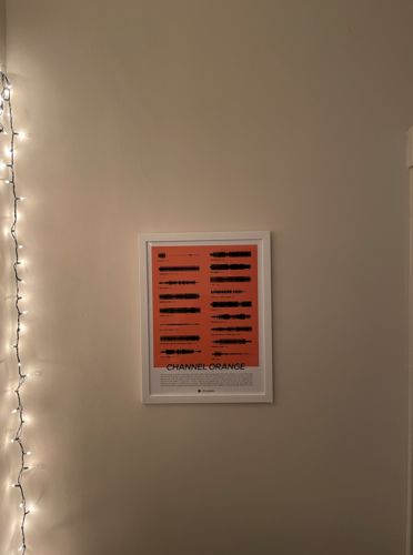 Customer photo review of "Channel ORANGE"