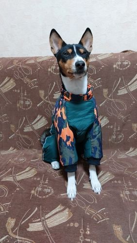 Customer photo review of Snow/Rain Dog Suit (Reflective)