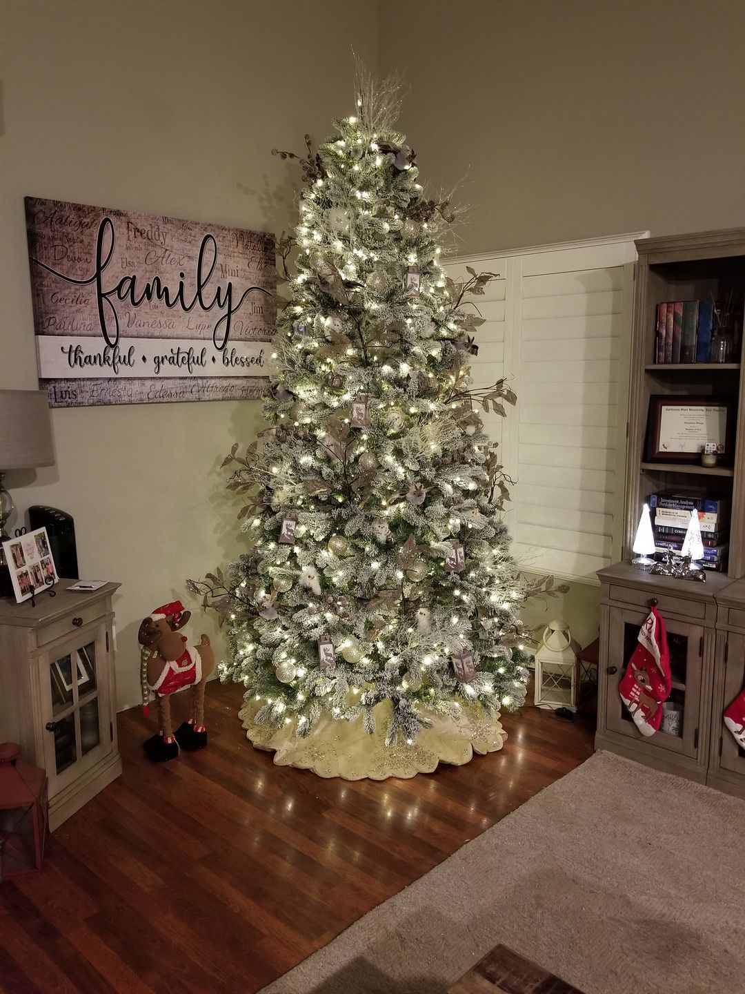 Customer photo review of Personalized "Family - Thankful, Grateful, Blessed" Names On Background Premium Canvas