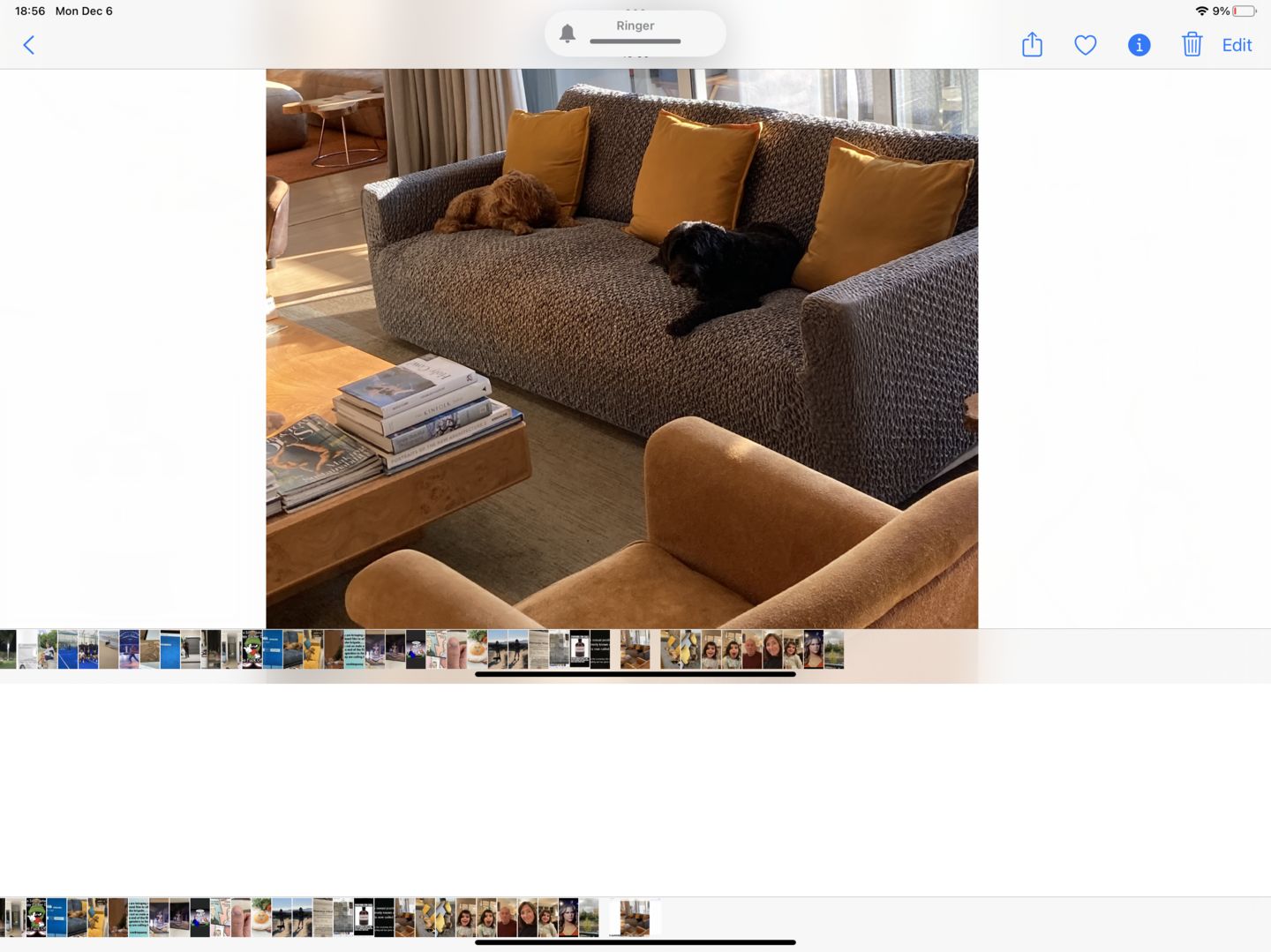 Customer photo review of 3 Seater Sofa Cover - Grey, Velvet Collection
