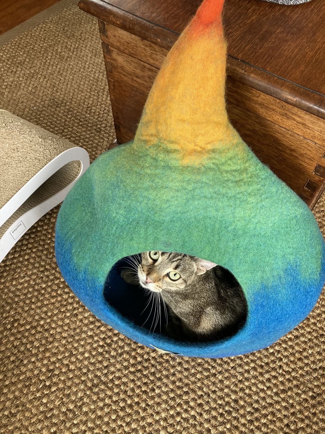 Customer photo review of Cat Cave - Rainbow Teardrop