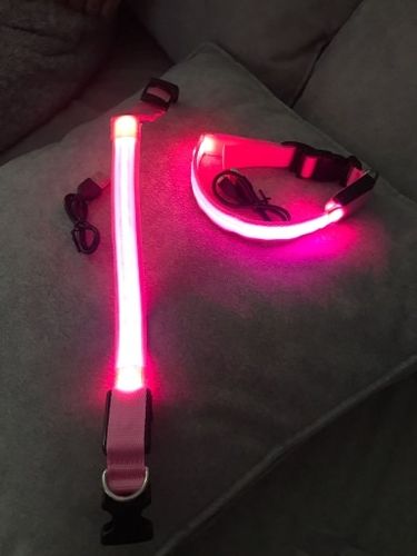 Customer photo review of LED Glow Collar / Harness