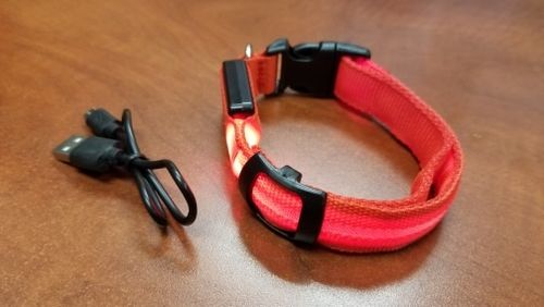 Customer photo review of LED Glow Collar / Harness