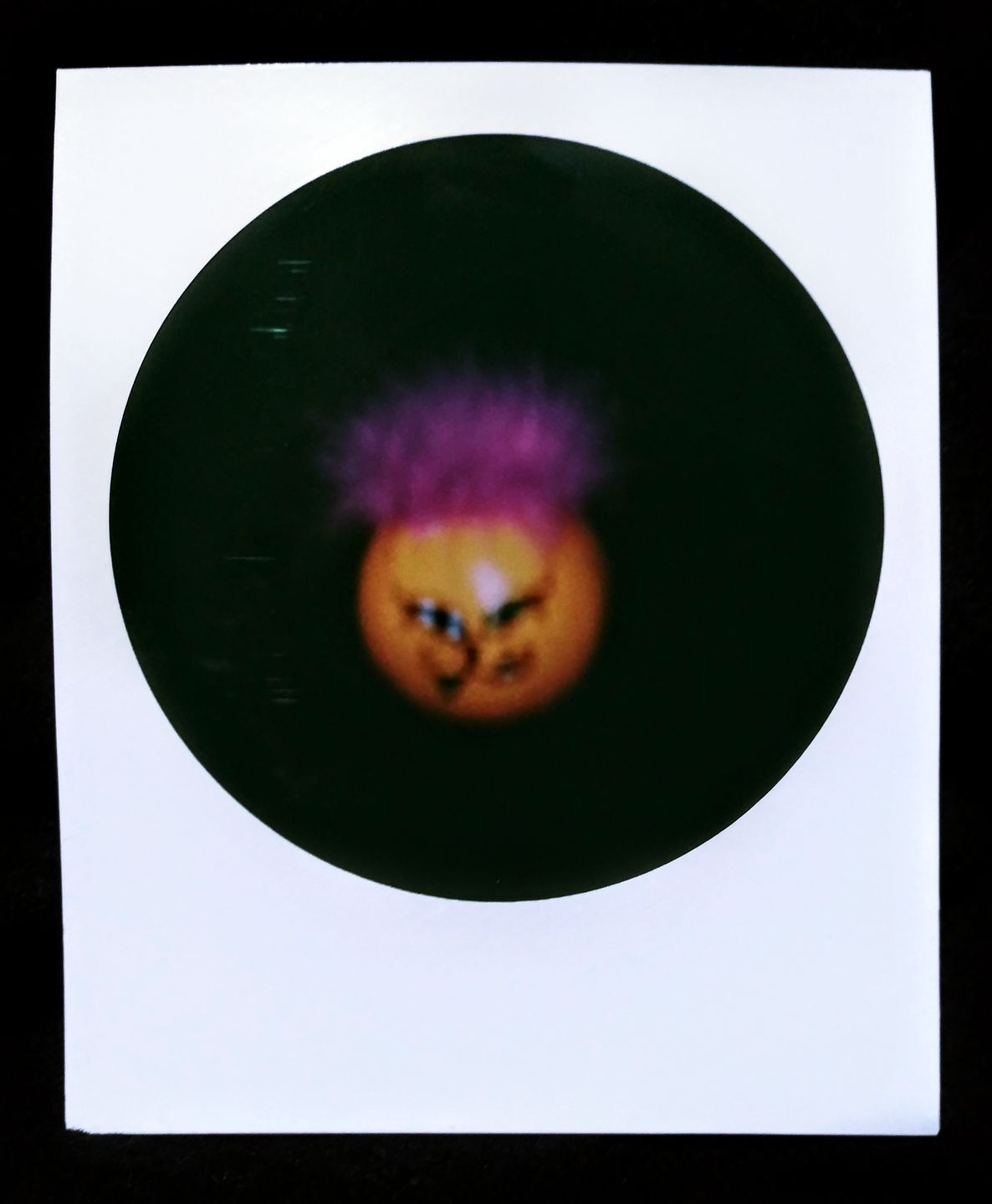 Customer photo review of Polaroid Color 600 Instant Film - Round Frame Edition