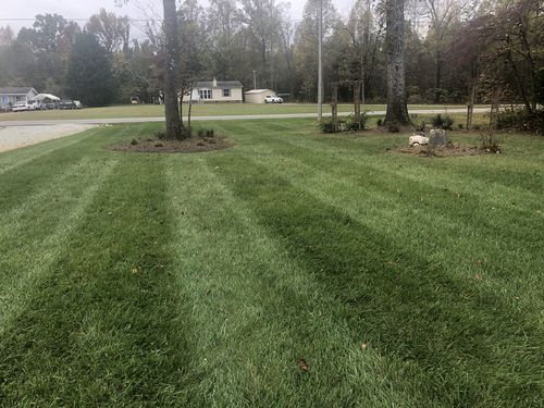 Customer photo review of Protene Performance Winter Fertilizer