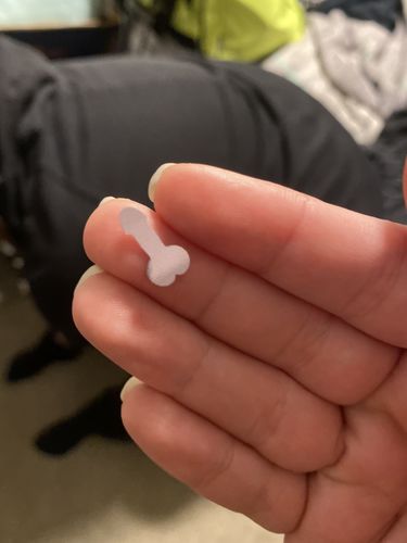 Customer photo review of Spring Loaded Dick Bomb!