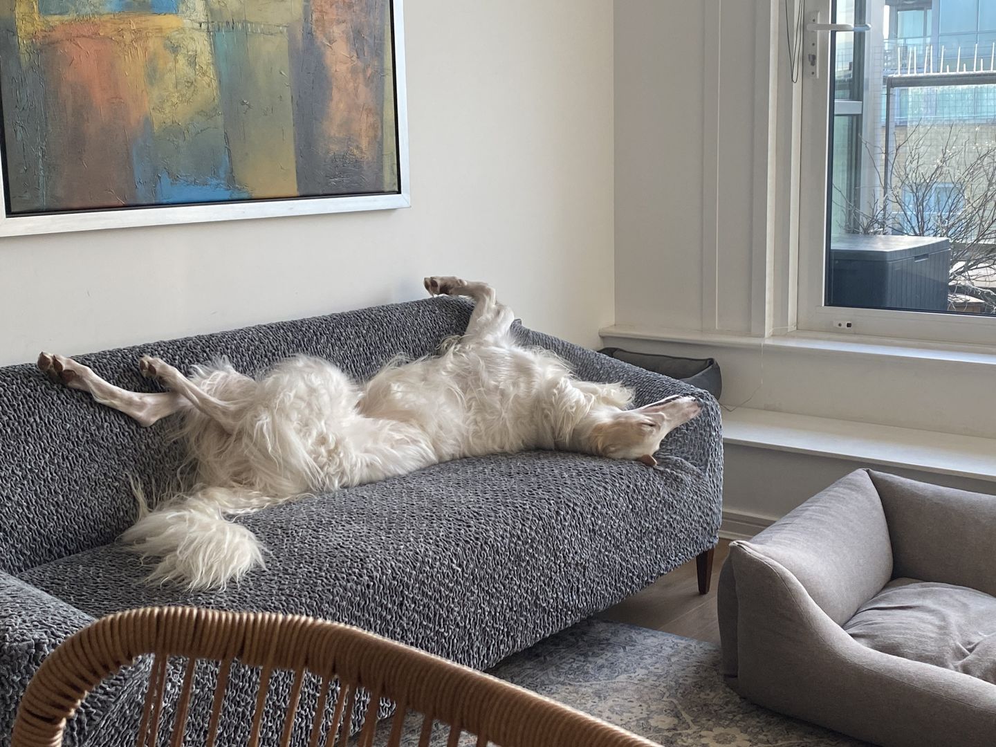 Customer photo review of 3 Seater Sofa Cover - Grey, Velvet Collection