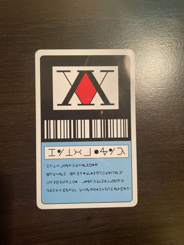 Customer photo review of Hunter x Hunter License Card