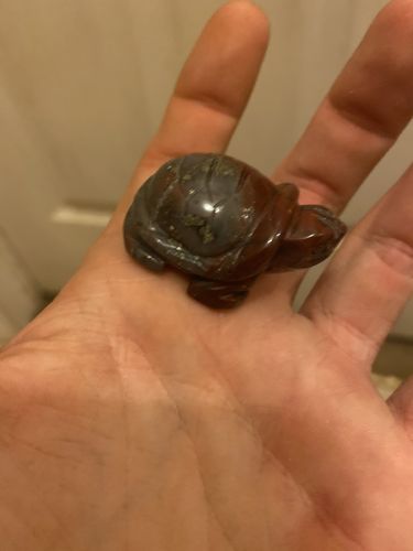 Customer photo review of Bloodstone Turtle