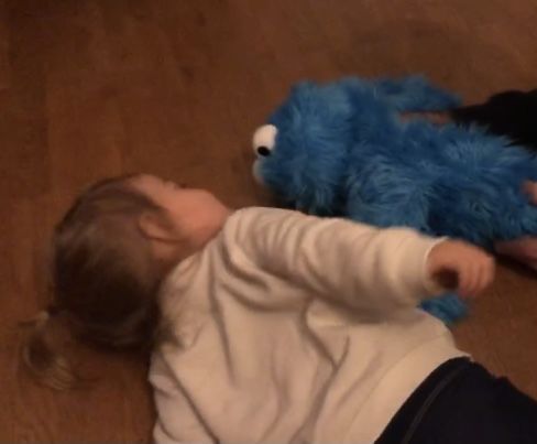Customer photo review of Cookie Monster Marionnette Sesame Street