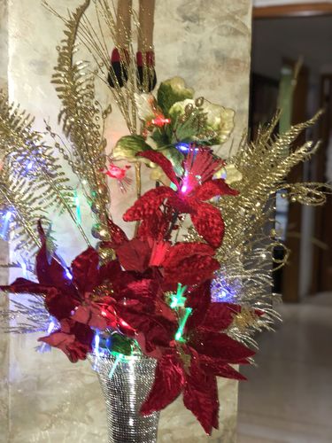 Customer photo review of ®Optic Lights - Luces Navidad Fibra óptica
