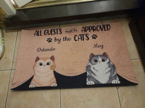 Customer photo review of All Guests Must Be Approved By The Cat Custom Doormat