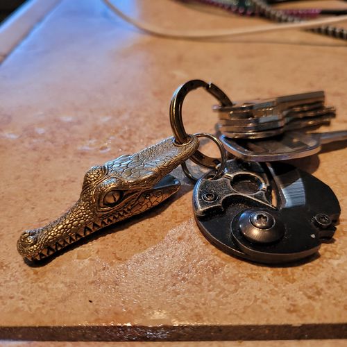 Customer photo review of Crocodile Clip | Brass