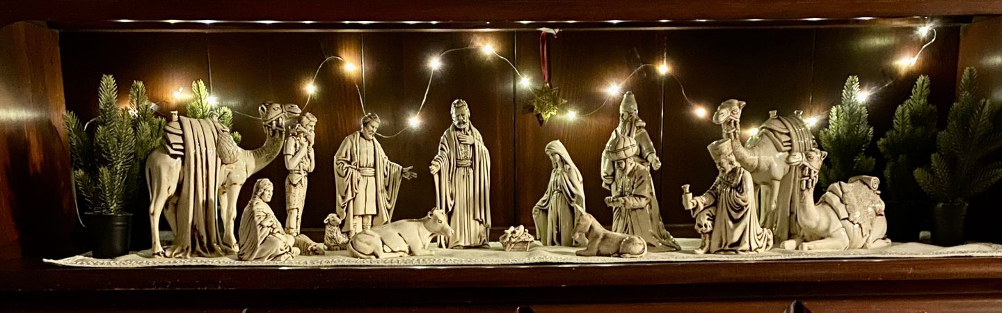 Customer photo review of 7 FT | 20 LED Weatherproof Battery Operated Copper Wire Warm White Fairy String Lights With Timer