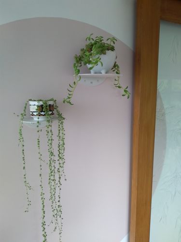 Customer photo review of FOLD Round Shelves ∙ White