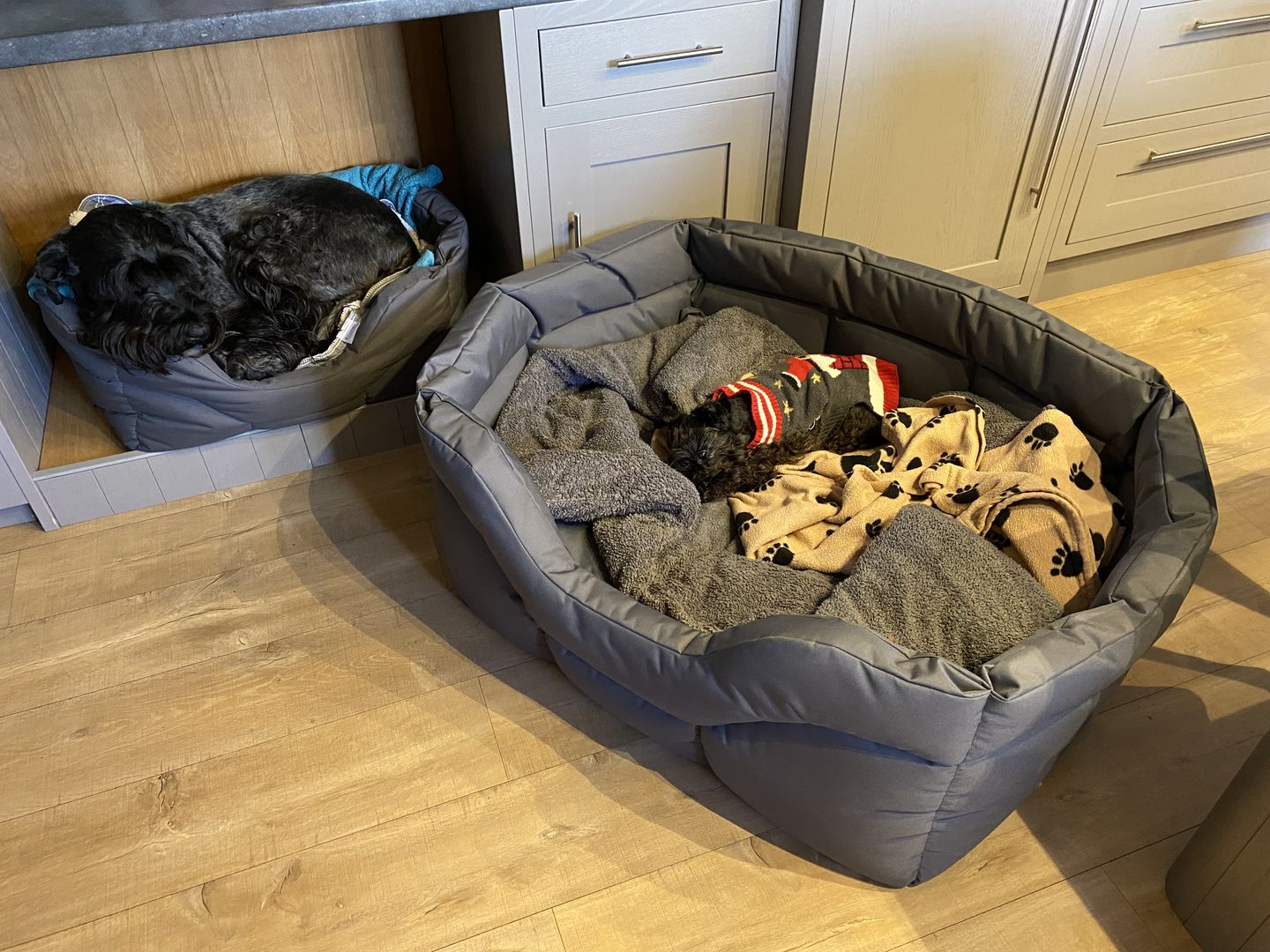 Customer photo review of Country Dog Heavy Duty Rectangular Dog Bed