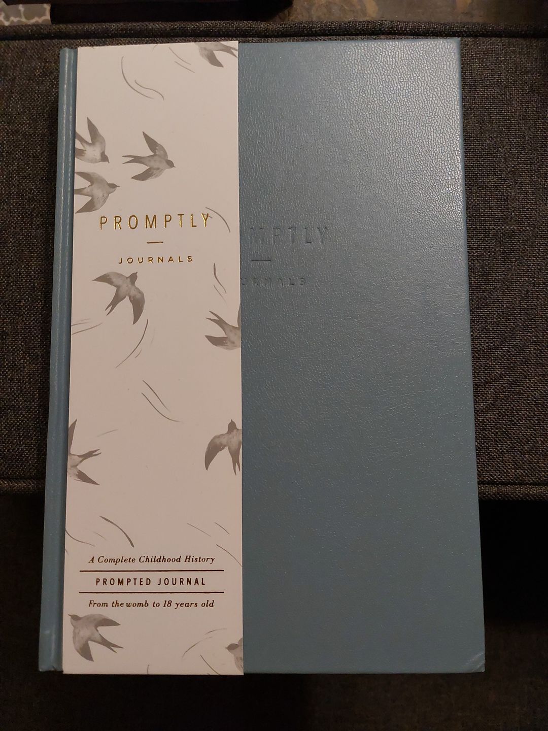 Customer photo review of Childhood History - Dusty Blue Leatherette
