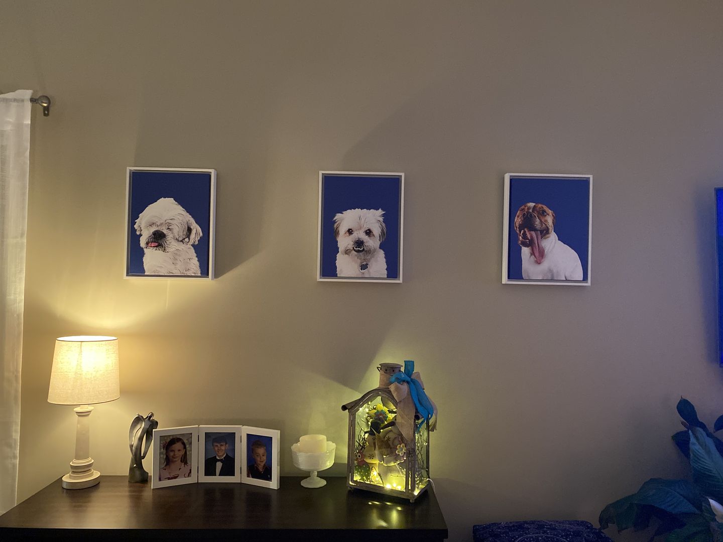Customer photo review of Custom Pet Art Framed Canvas