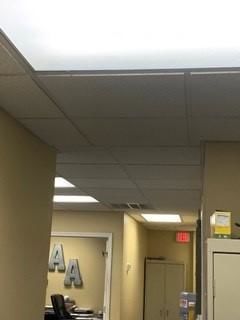 Customer photo review of 4ft 18W SafeT8 LED Tube - Versa Mode - Ballast Compatible or Bypass - Thermal Safety Fuses - (UL+DLC)