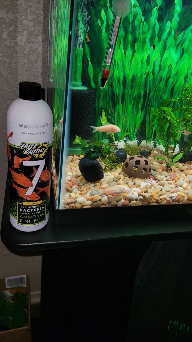 Customer photo review of FritzZyme 7 Freshwater Live Bacteria