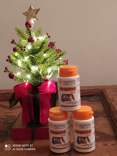 Customer photo review of 3 Conf. Probiofive Forte