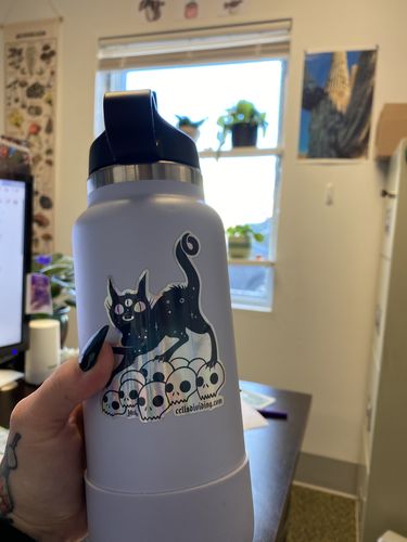 Customer photo review of Cat On Skulls, Holographic Sticker