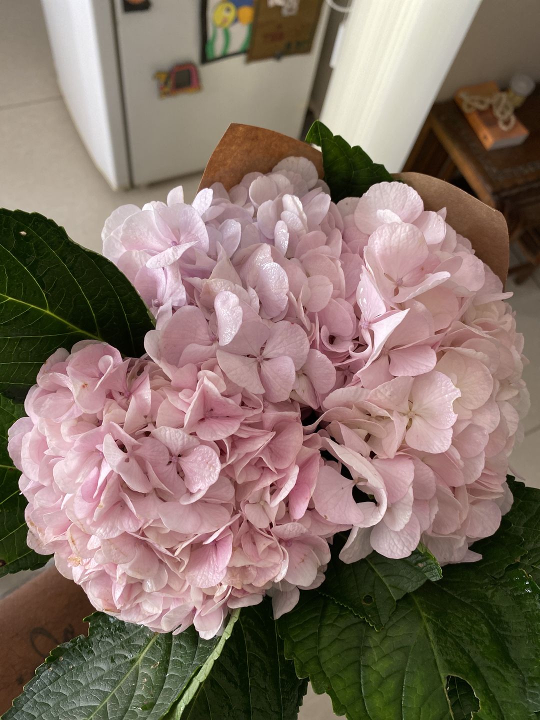 Customer photo review of Hydrangea (Bunch of 3)