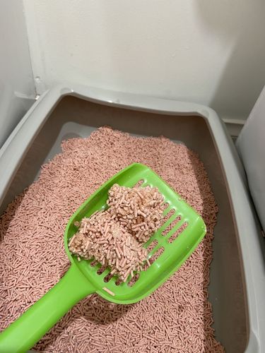 Customer photo review of Furrytail Michu Natural Clumping Tofu Cat Litter 2.5kg/6L