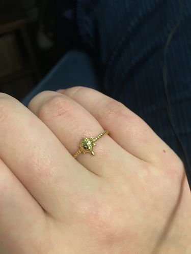 Customer photo review of Save The Turtles Ring