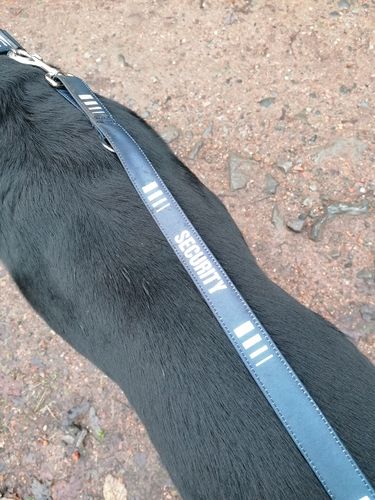 Customer photo review of Security -Hundeleine