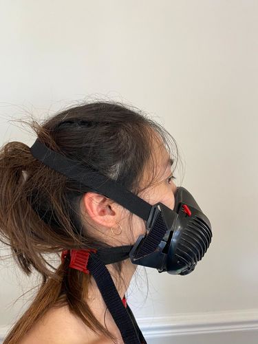 Customer photo review of Stealth P3 Replacement Filter (Pair)