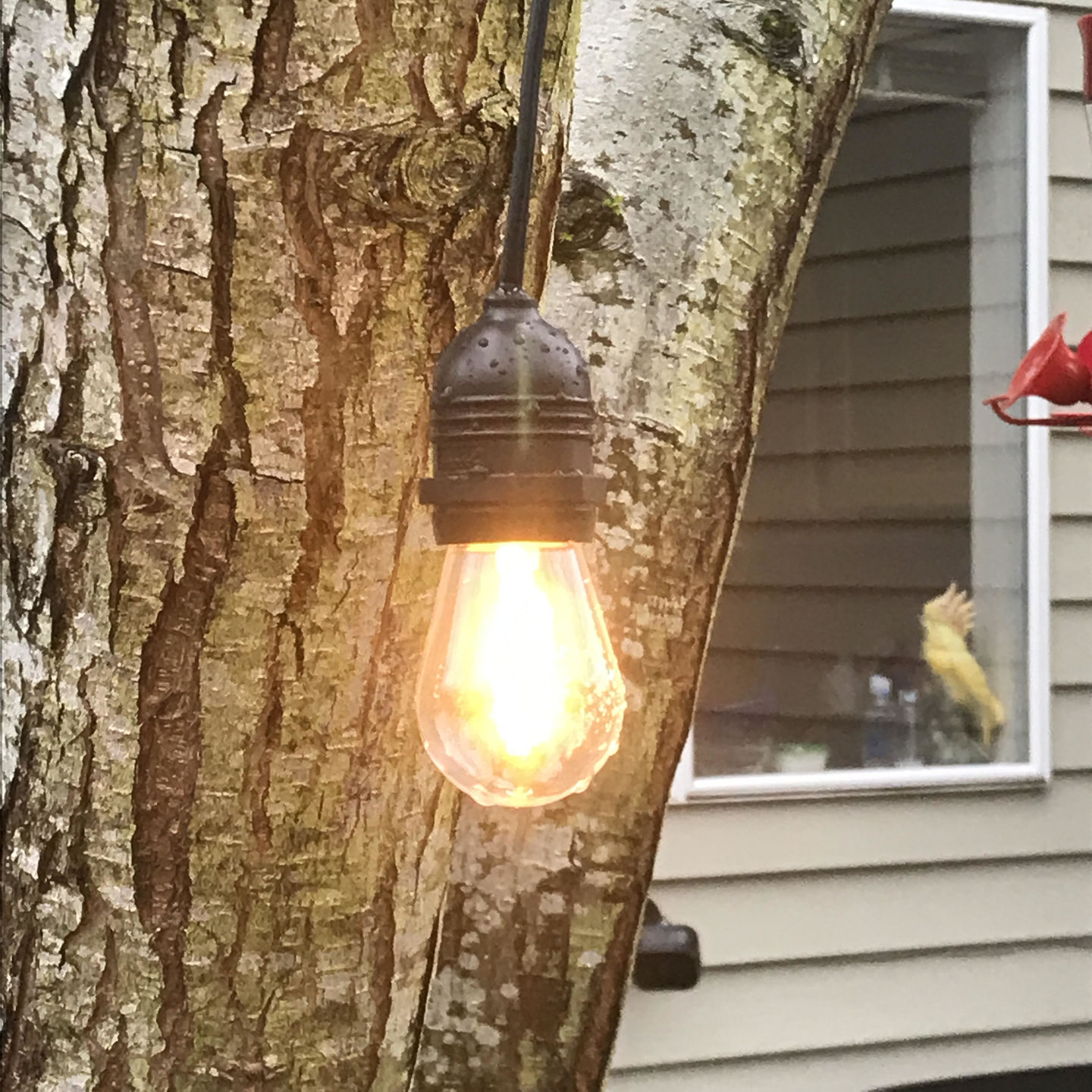 Customer photo review of BULK PACK (6) Single Socket Pendant Light Commercial Grade Outdoor Cord Kits (11FT, Black)