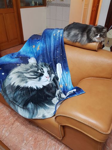 Customer photo review of 【客製】手繪寵物 法蘭絨毛毯 Custom Pet Fleece Blanket