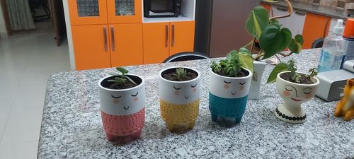 Customer photo review of Smiling Planter (Set of 3)