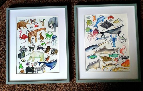 Customer photo review of The A-Z of Animals