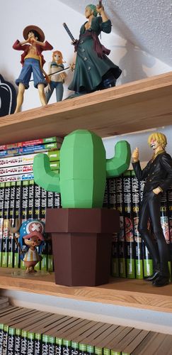 Customer photo review of Cactus