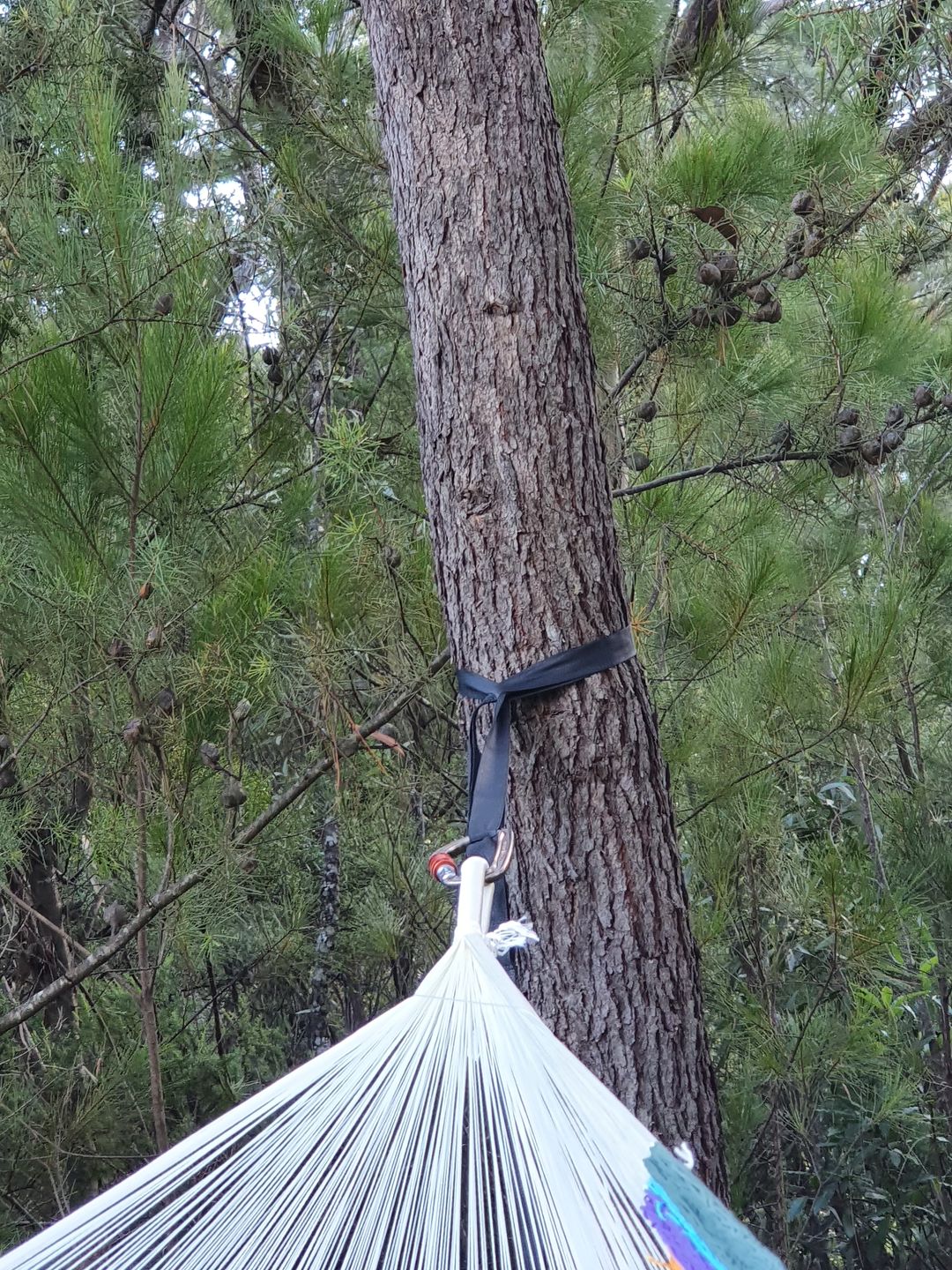 Customer photo review of Ultralight Hammock Straps