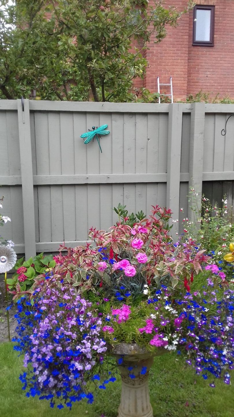 Customer photo review of HQC Garden Paint