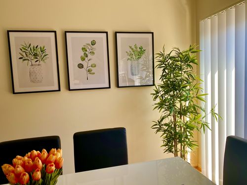 Customer photo review of Watercolor Green Plants Trio
