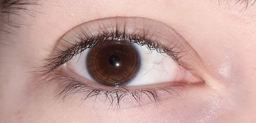 Customer photo review of ROSELASH x1